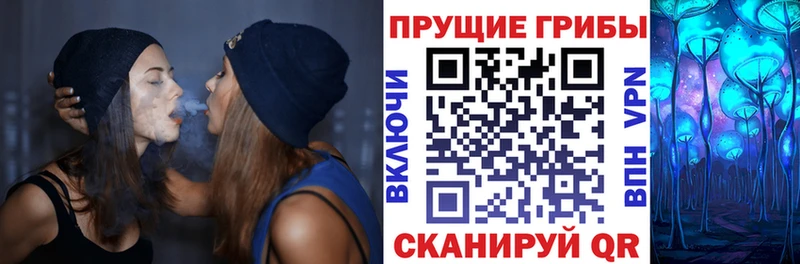 Псилоцибиновые грибы мухоморы  Купить где  Себеж 